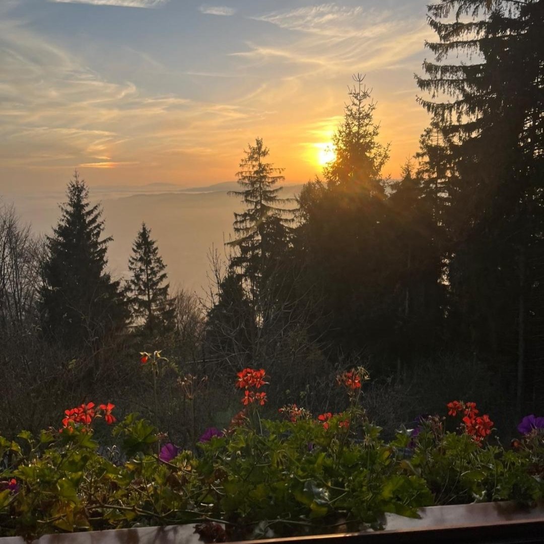  Bild vom Reisen